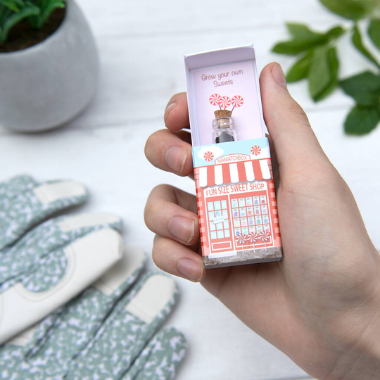 Grow Your Own Peppermint Sweets