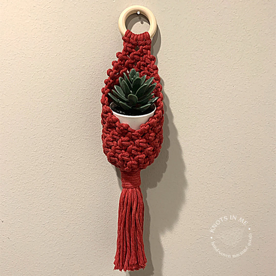 Macrame Air Plant Pod, Hanger, Boho Decor