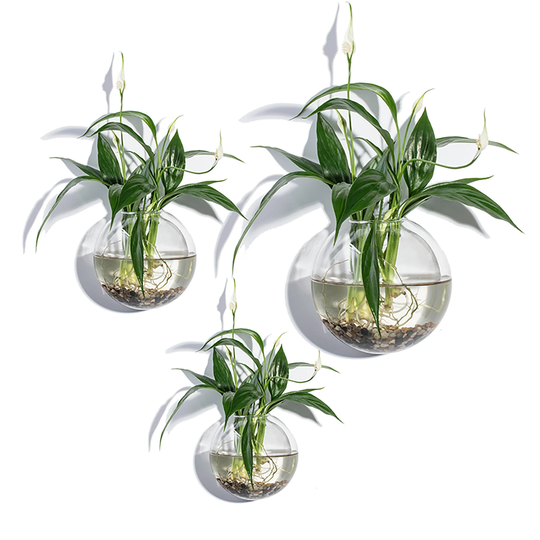 Set Of 3 Bubble Terrariums, Glass Wall Mounted Vase, Hydroponic Vases, Moss Planters, Garden Decoration