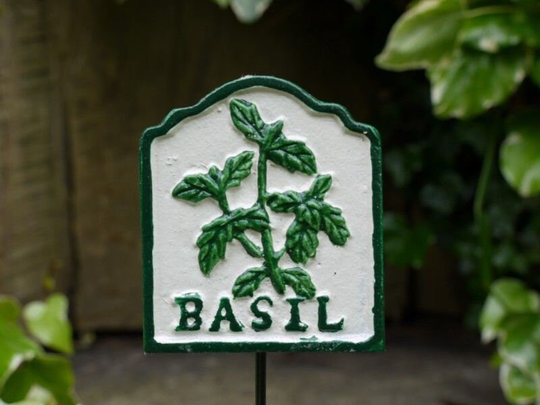 Basil Herb Marker Free Delivery Cast Iron Plaque On Stake Hand Painted Great For Garden, Allotment Or Greenhouse 29cm Tall