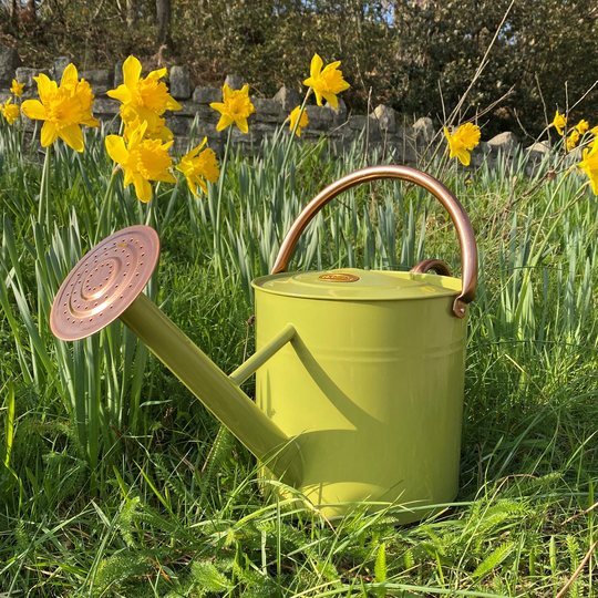 Sage Green & Copper Metal Watering Can With Rose