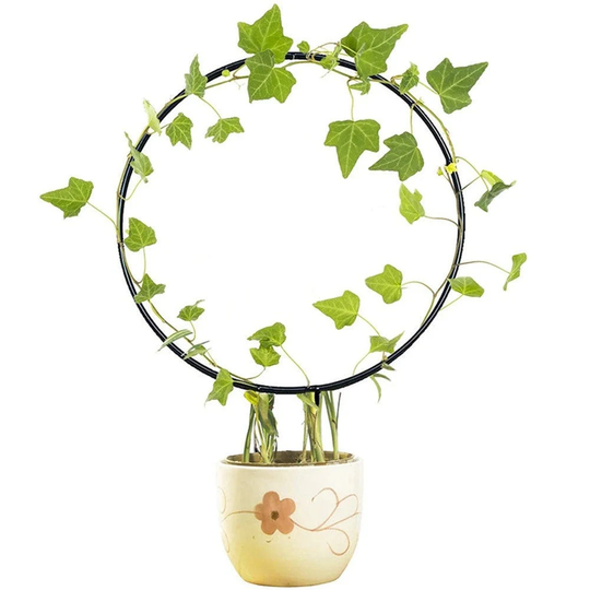 Circular Houseplant Trellis Support - Painted Metal Loop With Support Legs, Great For Climbers Or Trailers That Need A Helping Hand