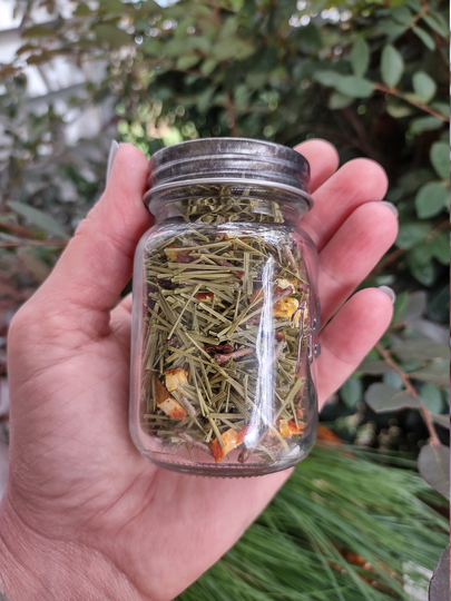 Eastern Pine Needle Tea, Appalachian Needles, Immunity Boost, Tea For Flu, Boost