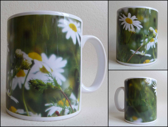 Art Print Mug, Printed Image, Nature Scene, Camomile Flower, Herbs, Natural, Woodlands, Forest, Woods, Flowers, Plants 11 Oz, Tea, Coffee, Cup