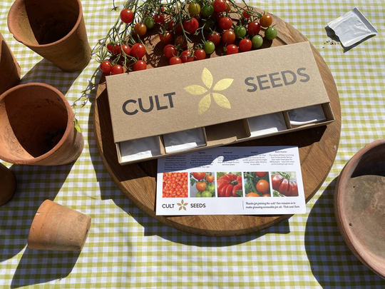 Grow Your Own Tomato Seed Selection Pack