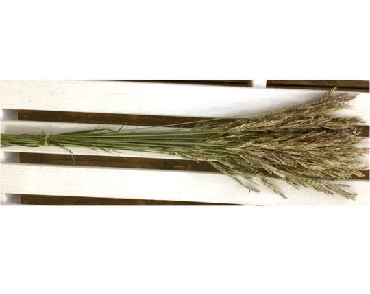 Dried Natural Meadow Grass Dried Flower Small Bunch Tan/Green Grass On Stems For Country Decor Farmhouse Prim Flowers Wedding Rustic