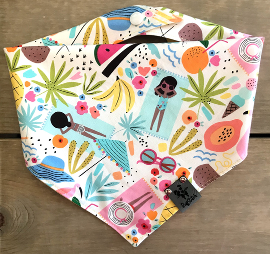 Summer Fun || Ruffstitchusa Seasonal Dog Bandana