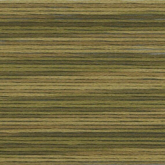 Cosmo Seasons Variegated Green & Brown Embroidery Floss #5012 - Lecien 5000 Series