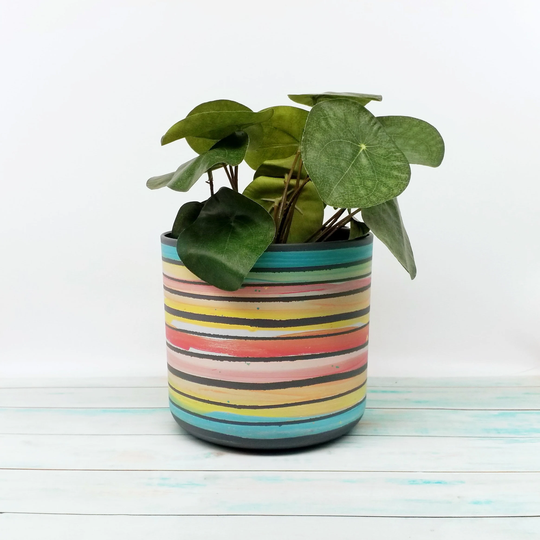 Eco Friendly Indoor Planter - 14 & 16 cm Diameter, Stripes Of Melange Colours