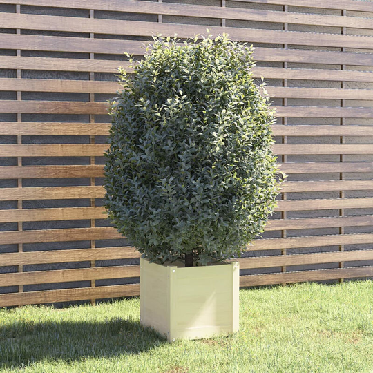 Asupermall - Garden Planter White 40x40x40 cm Solid Pinewood