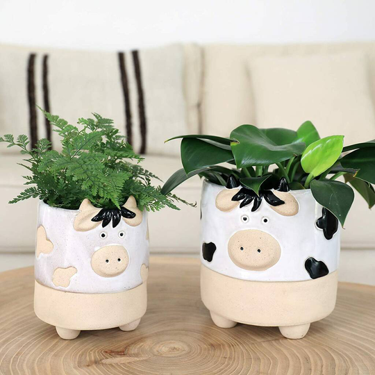 Pack Of Two Cow Shaped Succulent Pots Indoor Planters