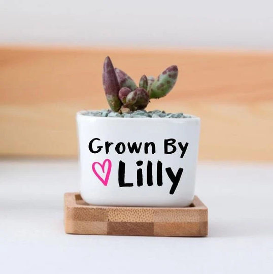 Gift For Daughter, Son, Child Gift, Planter, Succulent Pot, Personalized