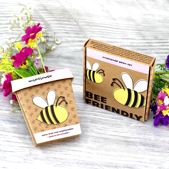 Bee Friendly Wildflower Grow Pot Kit
