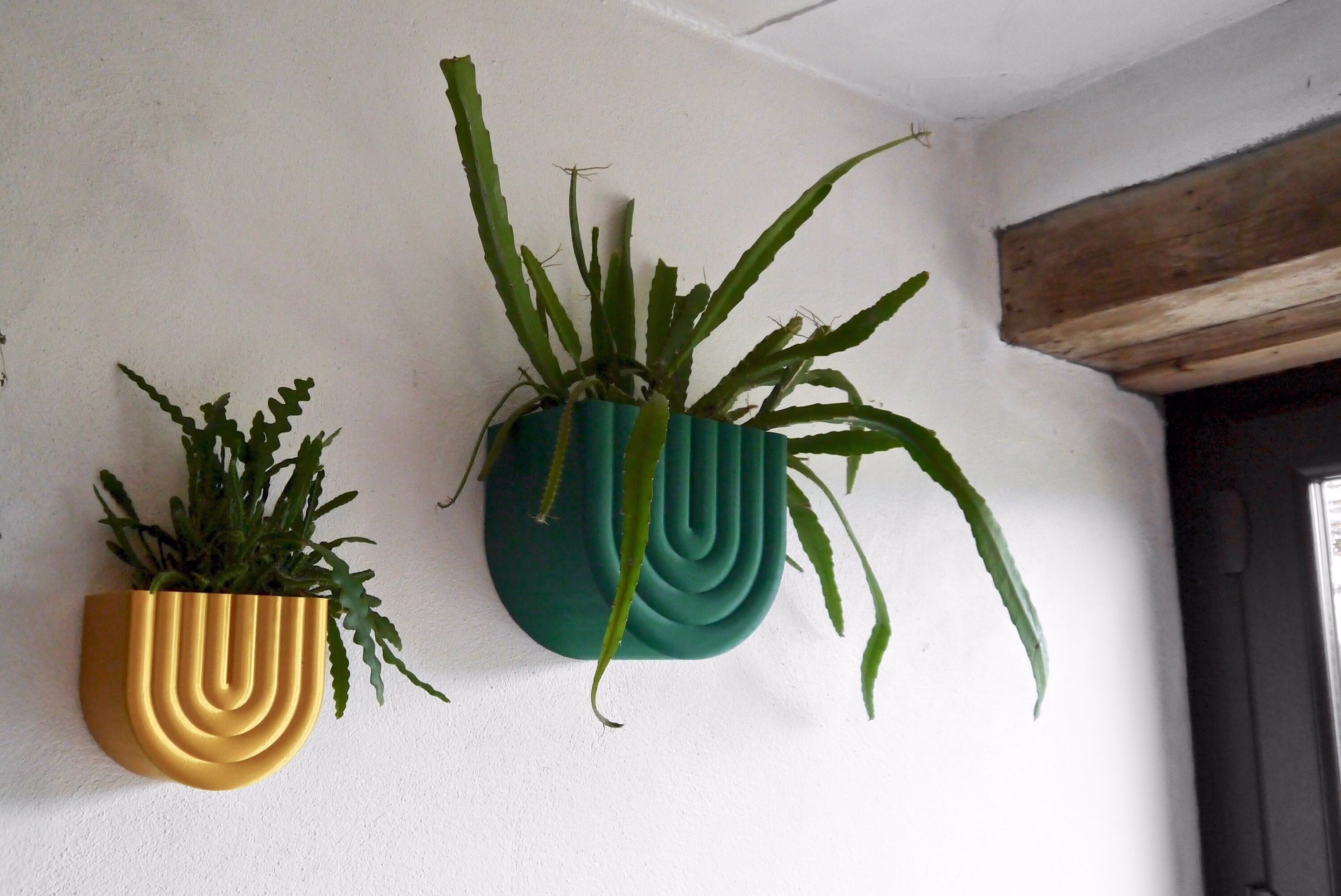 Any Colour Wall Mounted Plant Pot - Curved Based 3D Printed Homeware New Home Eco Friendly Office Shiny Modern