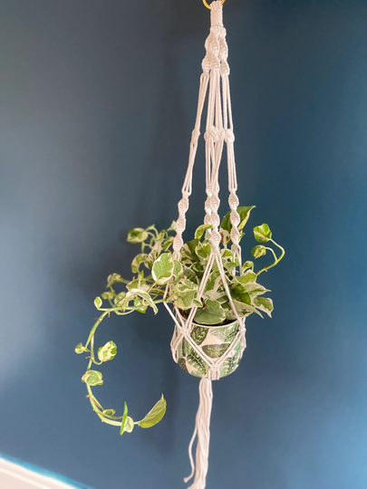 Macramé Plant Hanger - Natural Woven Jute Great For Trailing Or Climbing House Plants