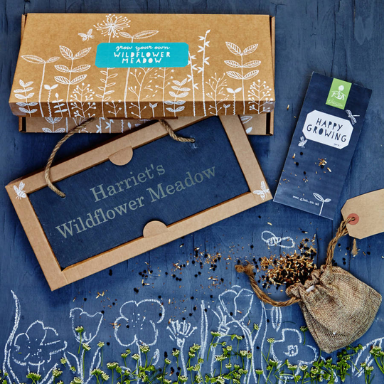 Grow Your Own Wildflower Meadow Gift