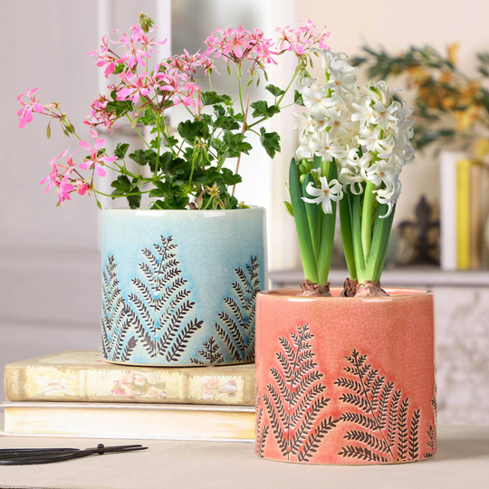 Set Of Two Glazed Ceramic Fern Plant Pots
