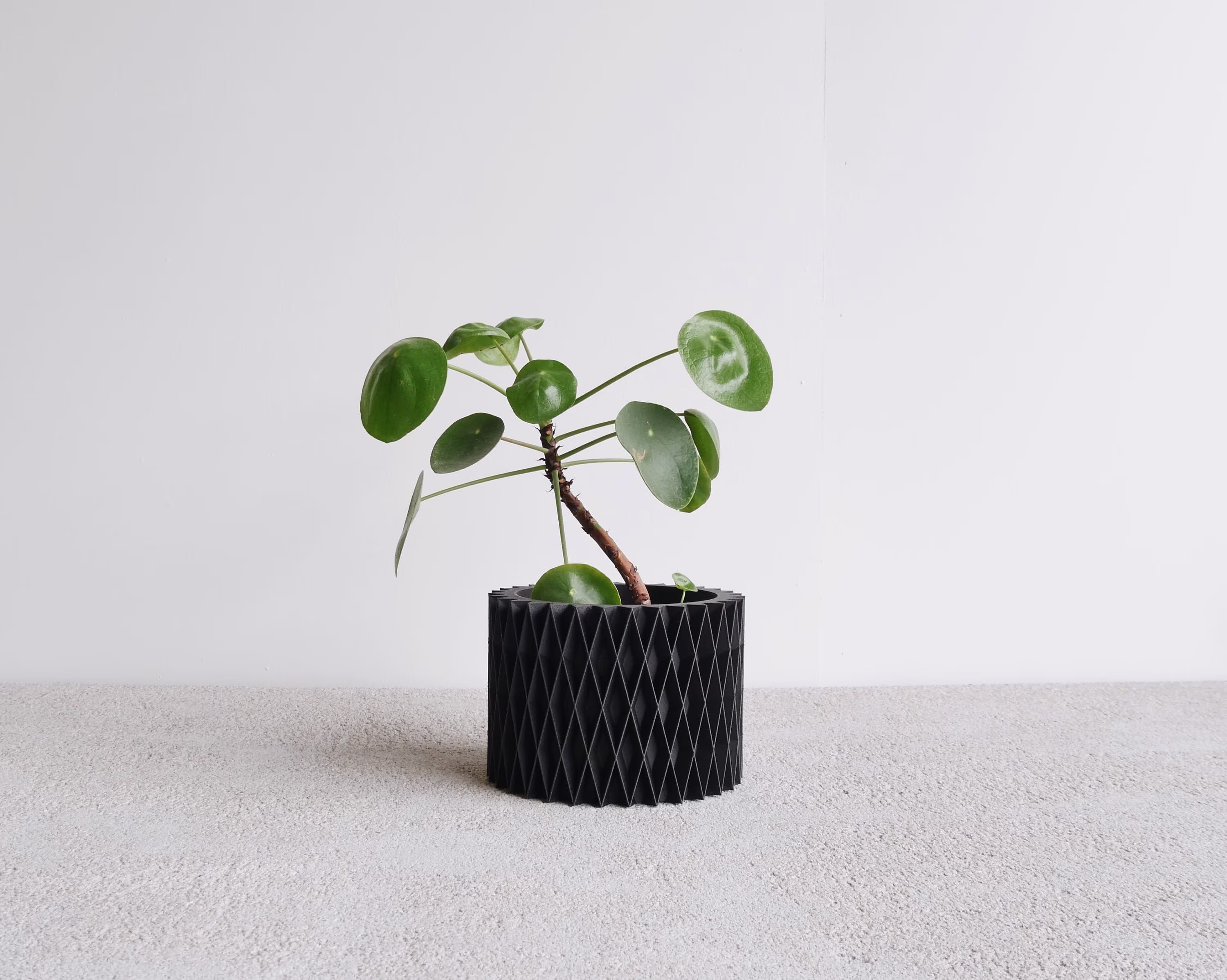 Indoor Black Planter - Croix