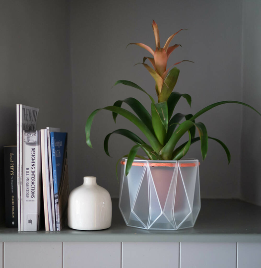 Origami Self Watering Eco Plant Pot: 18cm - Coral Cord