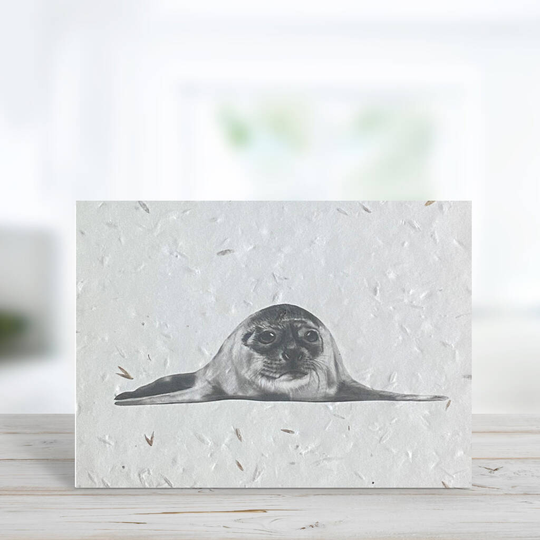 Ara The Seal Plantable Seeded Greeting Card