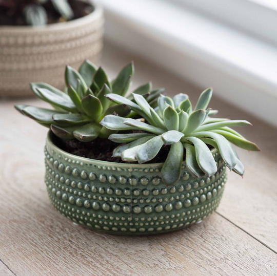 Bobble Ceramic Planter