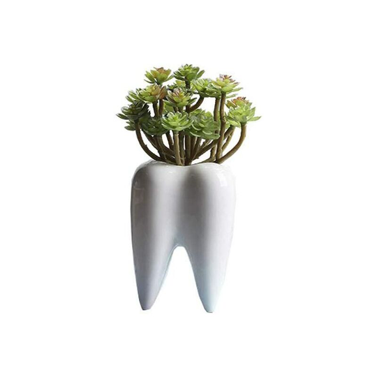 Litzee - White Cute Tooth Planter Pots Succulent Tooth Planter Pots Creative Ceramic Cactus Pots Mini Flower Plant Containers as Home and Office