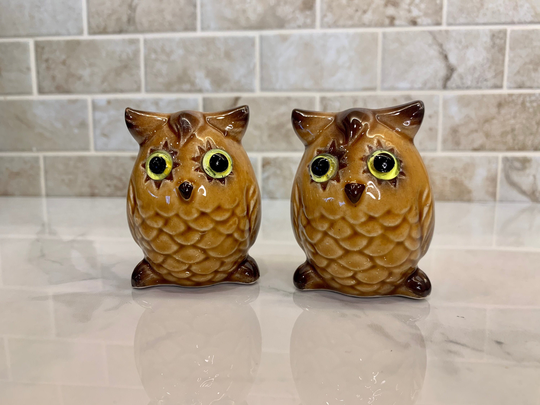 Retro Owl Salt & Pepper Shakers