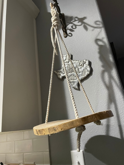 Wood Slice Hanging Planter