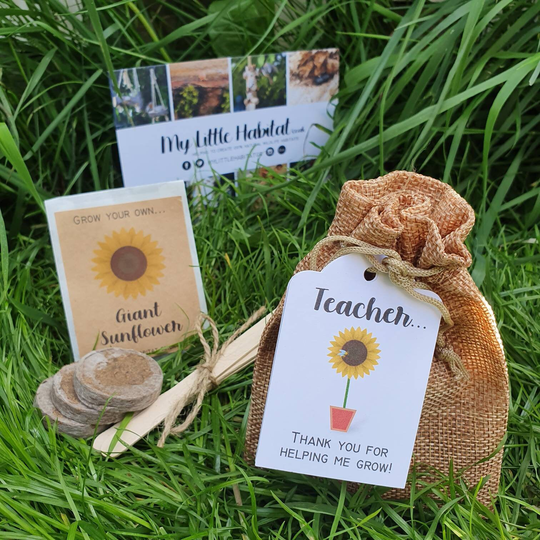 Teacher Gift Sunflower Growing | Thank You For Helping Me Grow Teacher Activity School Bee Eco Nature Garden