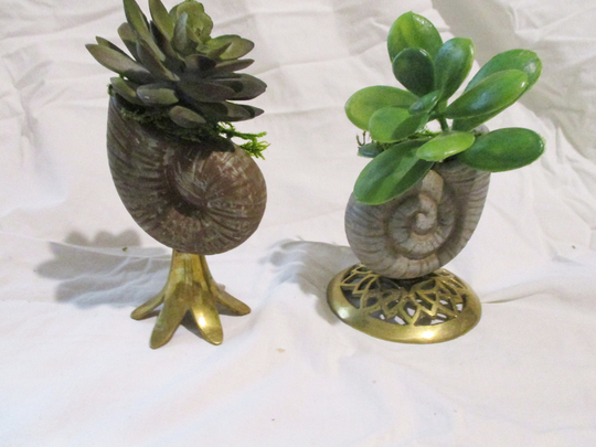 Vintage Brass & Faux Shell Planter Stands Succulent Stand Seaside Shells Home Living Gift