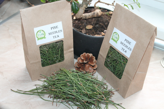 Organic Fresh White Pine Needle Tea | Wildcrafted Mountain Forests Needles For