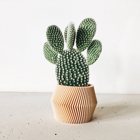 Geometric Indoor Planter Printed in Wood - Dissipat