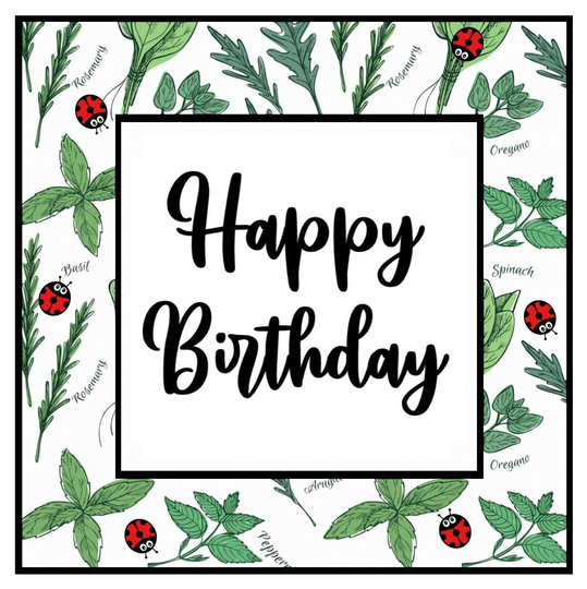 Ladybird Birthday Card -Ladybug -For Mum - For Her Garden Lover Bug Herbs Gardening -Eco Friendly