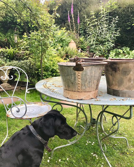 Sold Vintage Metal Planter