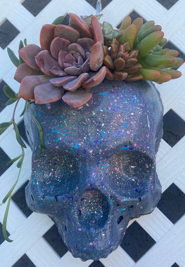 Skull Head|Wall Planter|Cement|Decor|Gift|Succulent|Gothic|8