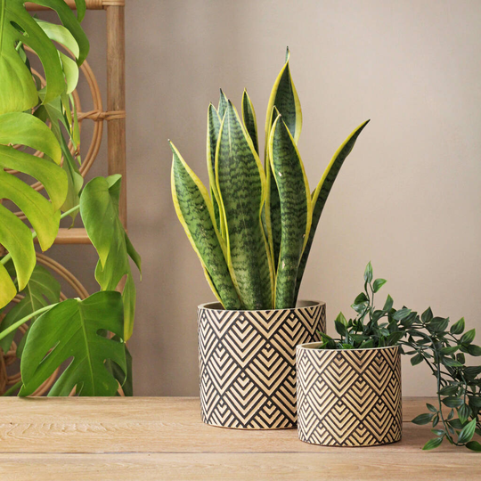 Ceramic 'Geo' Planters