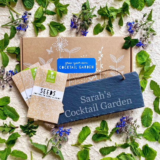 21st Birthday Cocktail Herbs Growing Kit
