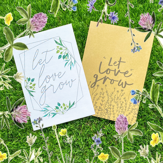 Wildflower Seed Wedding Favour Gift