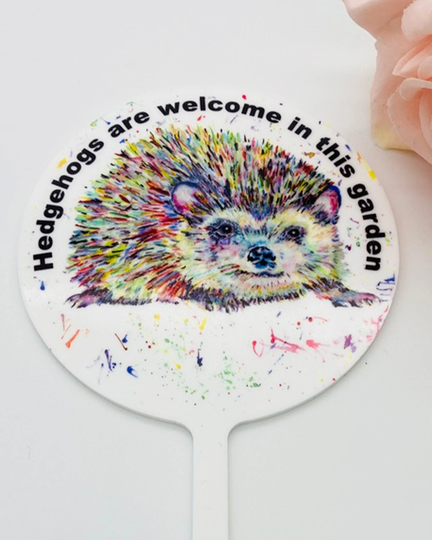 A Beautiful Acrylic Hedgehog Sign For Your Garden Plant Pot Rainbow Gift All Love Hedgehogs Printed Design Outdoors