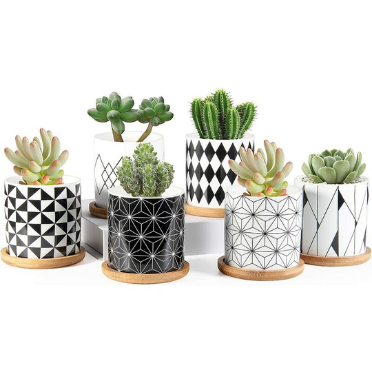 Succulent Pots, 3 inch Ceramic Mini Succulent Planter Pot, Geometric Pattern Round Small Flower Pots with Drainage and Bamboo Tray, Pack of 6