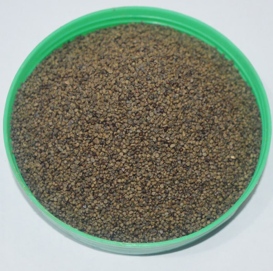 Khareti Seeds/Khareti/Bala Beej/Atibala/Abutilon Indicum/Kharaiti Beej/Country Mallow/Bala/Sida Cordifolia Seeds/Beejband Seed/Bhadra Seed