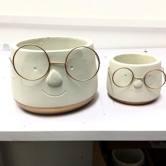 Geek Planters. Spectacle Pots With Gold Trim - Small & Large Face Planter Indoor Plant Pot Glasses Plant Upgrade
