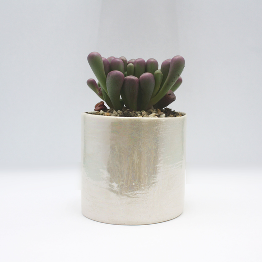 Ceramic Small Plant Pots, 30Th Wedding Anniversary, Mother Of Pearl Anniversary Gift For Parents Home Porcelain Succulent Pot