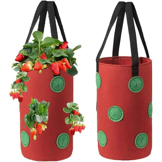 2 Pcs 3 Gallon Strawberry Planting Bag, Strawberry Grow Bags, Hanging Plant Bags with 12 Holes, for Strawberries, Herbs, Flowers, 20x35CM (Red)