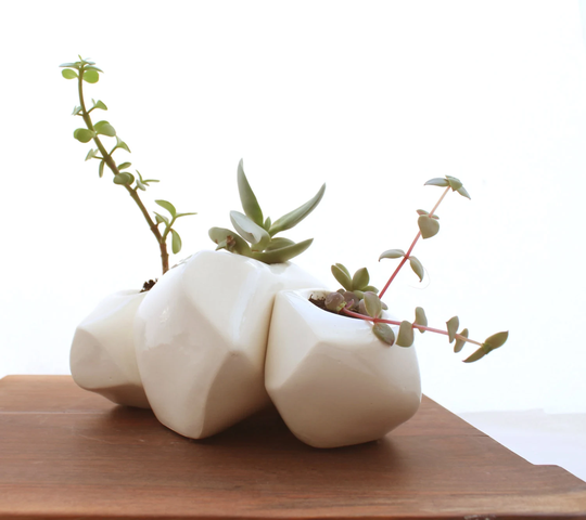 Succulent Rock Trio Planters in White