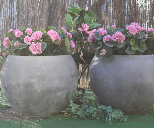 Pair Of Globe Tubes