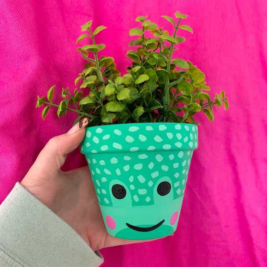 Hand Painted Frog Plant Pot Kawaii
