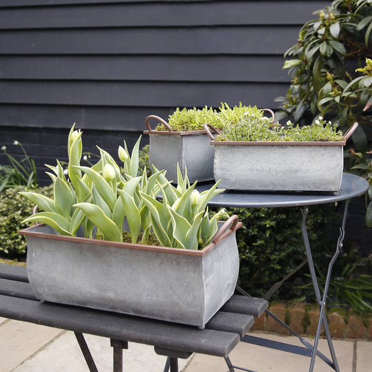 Rectangular Metal Planter With Bronze Trim