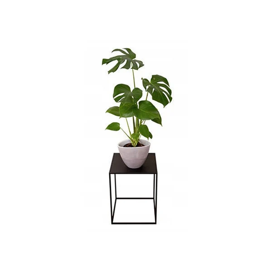 Plant Pedestal - Mississippi Xl