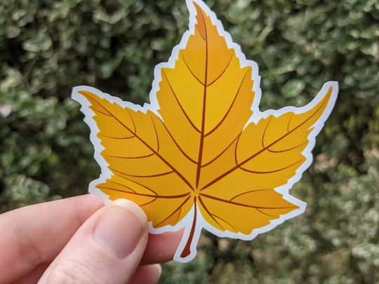 Yellow Maple Leaf, Fall Sticker, Autumn Vinyl Decal, Maples, Decor, Stickers, Seasonal Weather, Welcome Fall, Die Cut Sticker